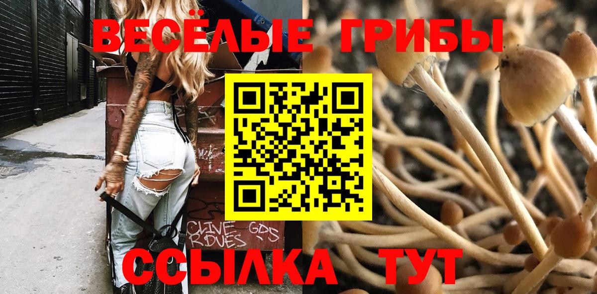 как найти наркотики  Вход с VPN  Тольятти  Псилоцибиновые грибы Cubensis 